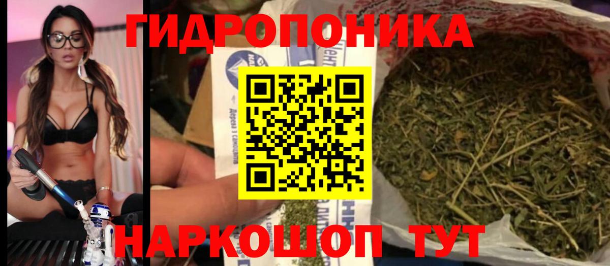 МАРИХУАНА SATIVA & INDICA  Вход с VPN  Казань  Бошки Шишки план  Шишки марихуана семена  Марихуана марихуана 